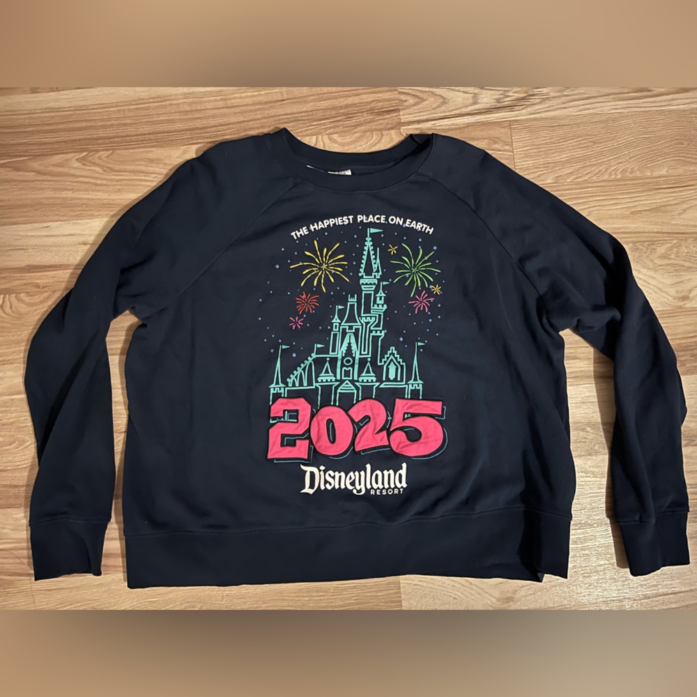 Walt Disney World 2025
Pullover Sweatshirt w/Cinderella Castle Size 1X